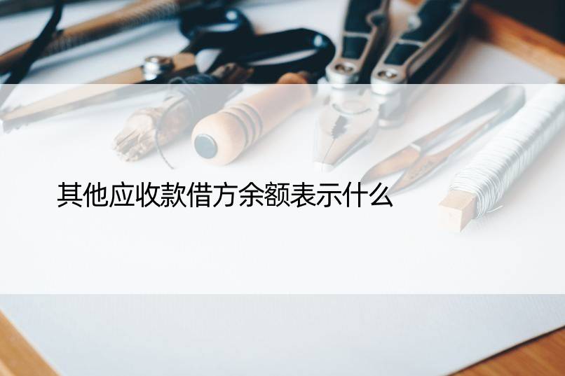 其他应收款借方余额表示什么