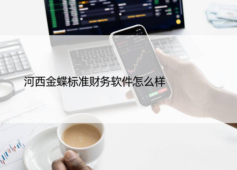 河西金蝶标准财务软件怎么样