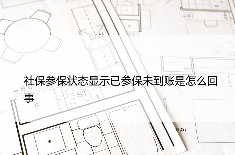 社保参保状态显示已参保未到账是怎么回事