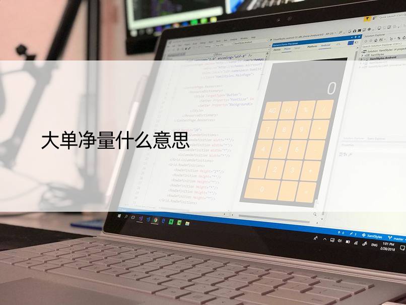 大单净量什么意思