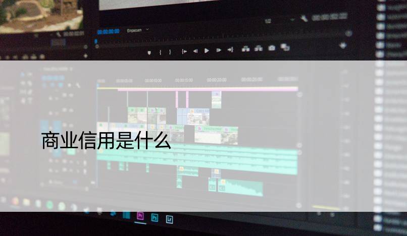 商业信用是什么