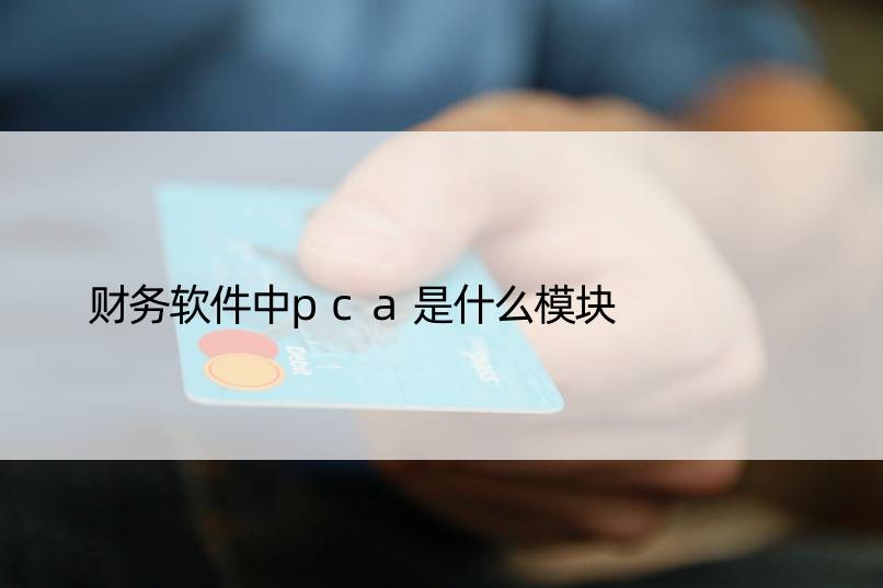 财务软件中pca是什么模块