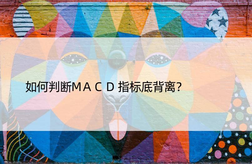 如何判断MACD指标底背离？