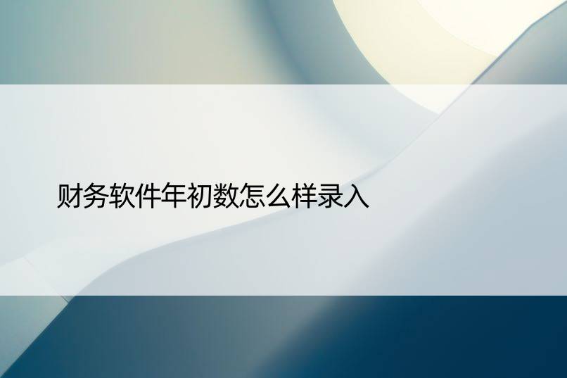 财务软件年初数怎么样录入