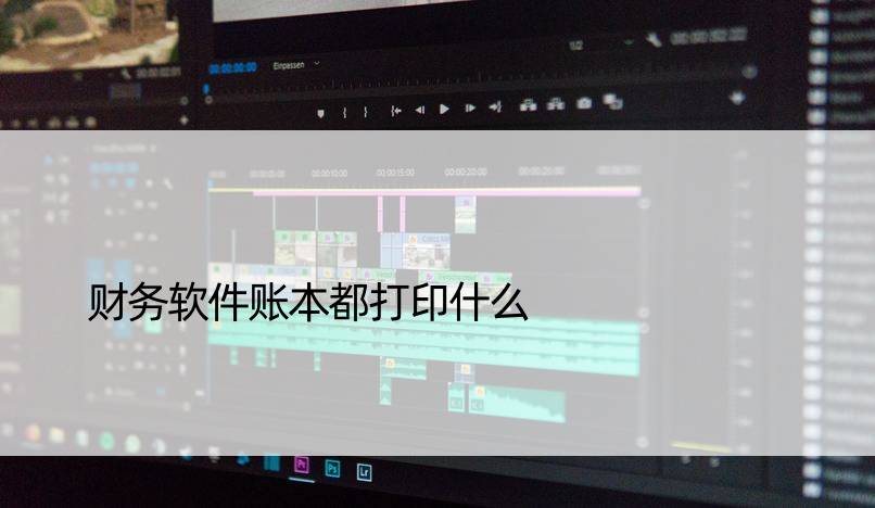 财务软件账本都打印什么