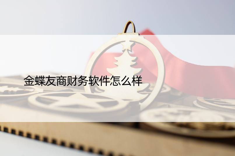 金蝶友商财务软件怎么样