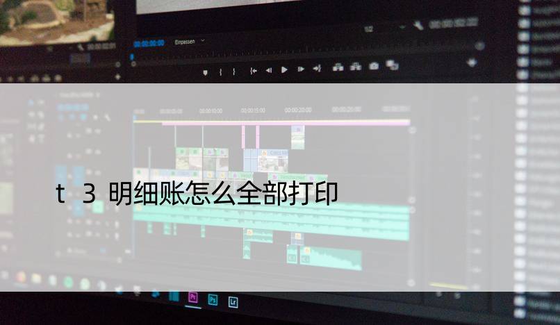 t3明细账怎么全部打印