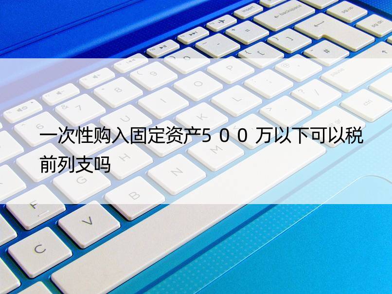 一次性购入固定资产500万以下可以税前列支吗