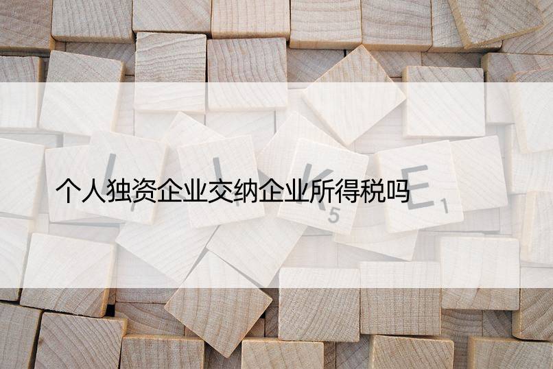 个人独资企业交纳企业所得税吗