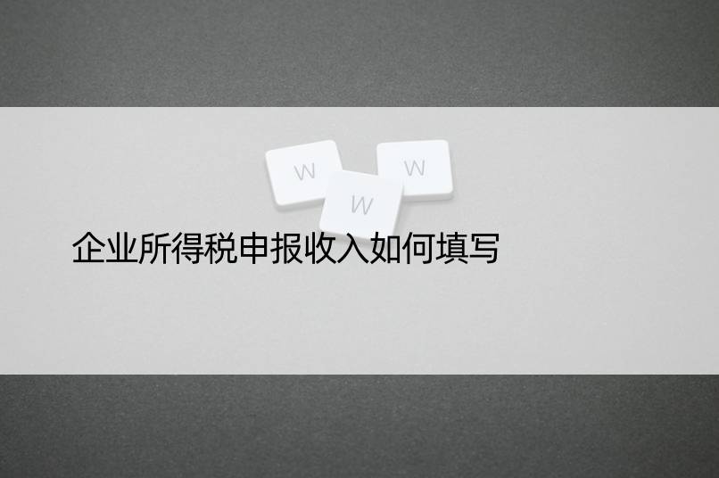 企业所得税申报收入如何填写