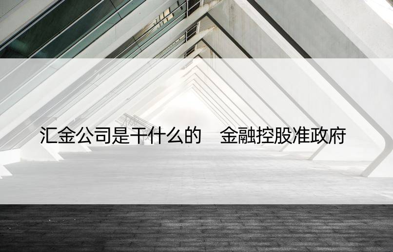 汇金公司是干什么的 金融控股准政府