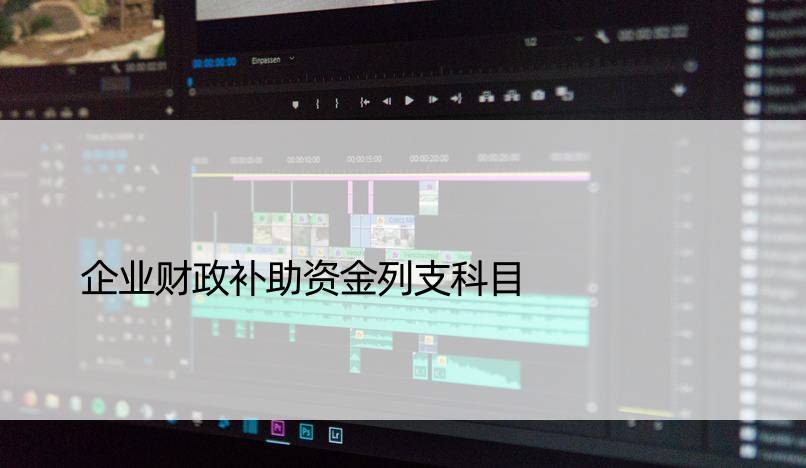 企业财政补助资金列支科目