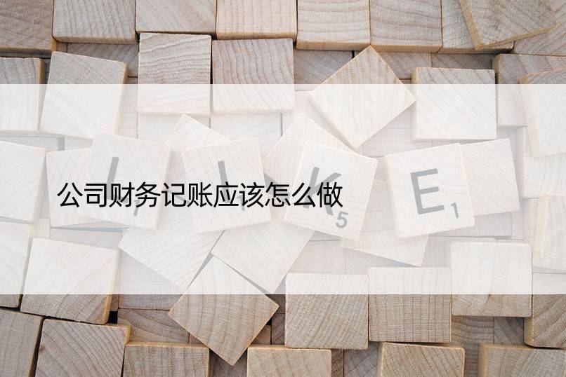 公司财务记账应该怎么做