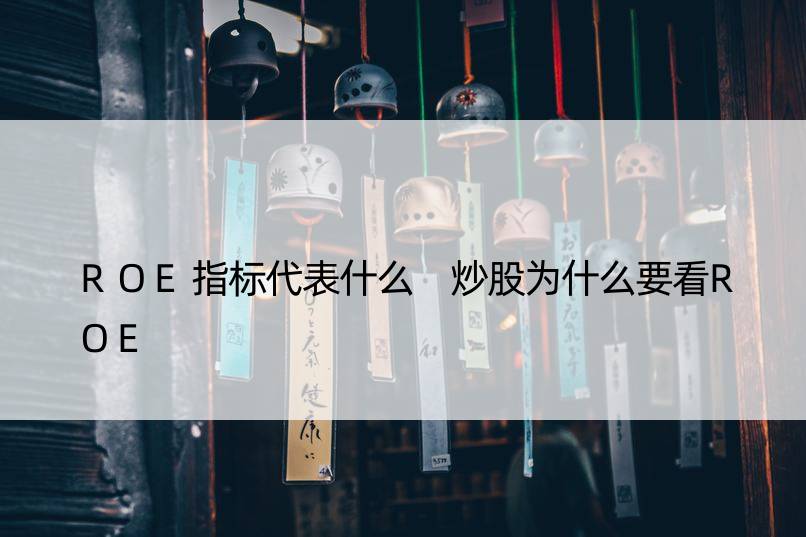 ROE指标代表什么 炒股为什么要看ROE