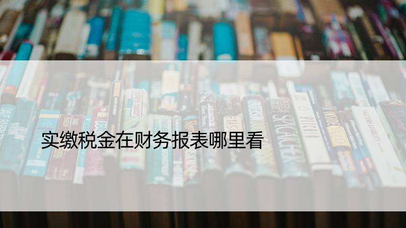 实缴税金在财务报表哪里看