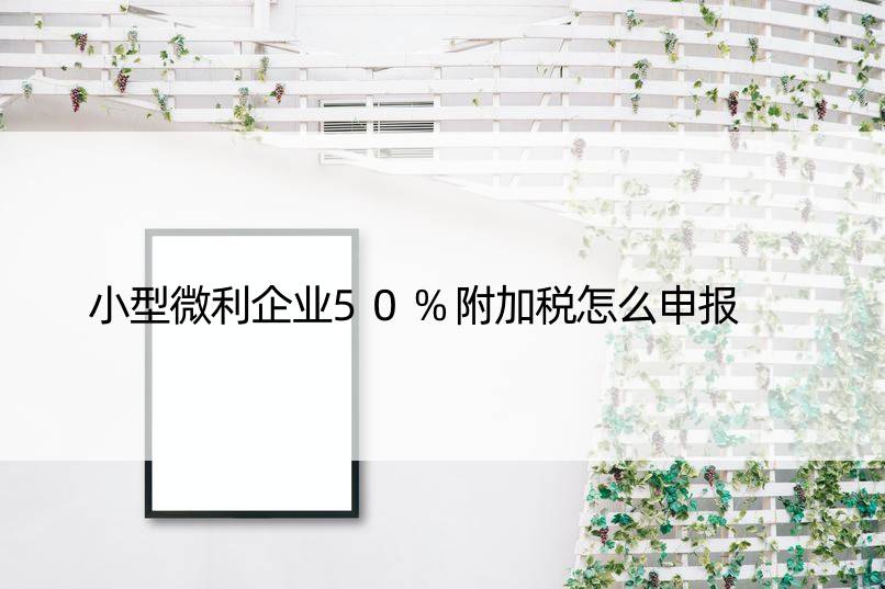 小型微利企业50%附加税怎么申报