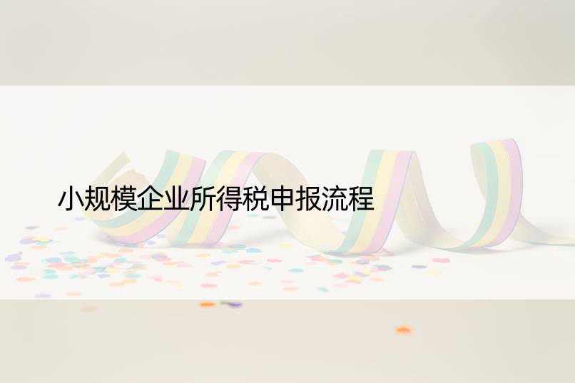 小规模企业所得税申报流程