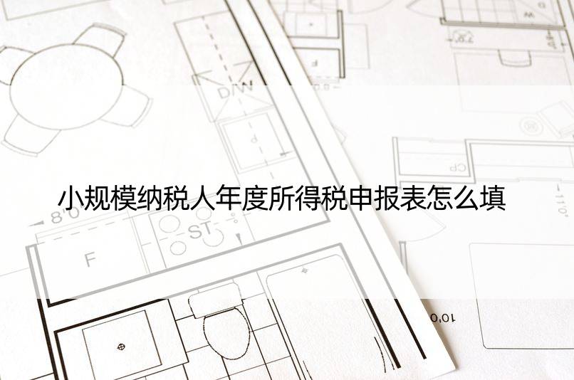 小规模纳税人年度所得税申报表怎么填