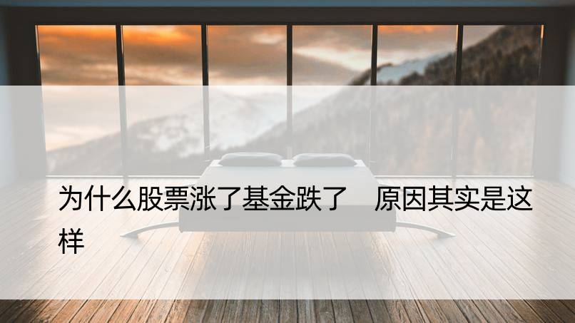 为什么股票涨了基金跌了 原因其实是这样