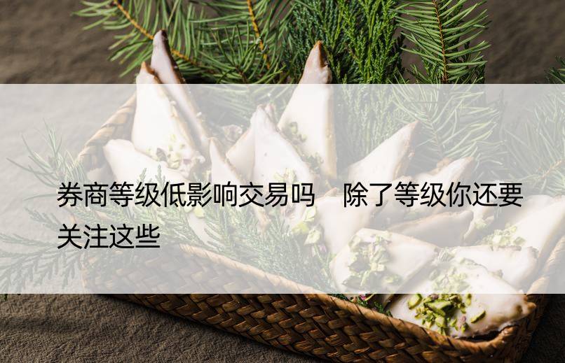 券商等级低影响交易吗 除了等级你还要关注这些