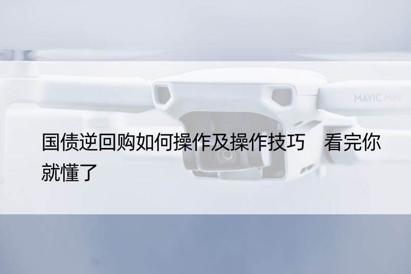 国债逆回购如何操作及操作技巧 看完你就懂了