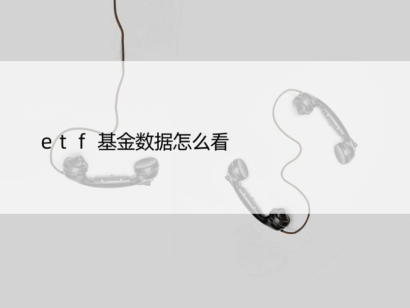 etf基金数据怎么看