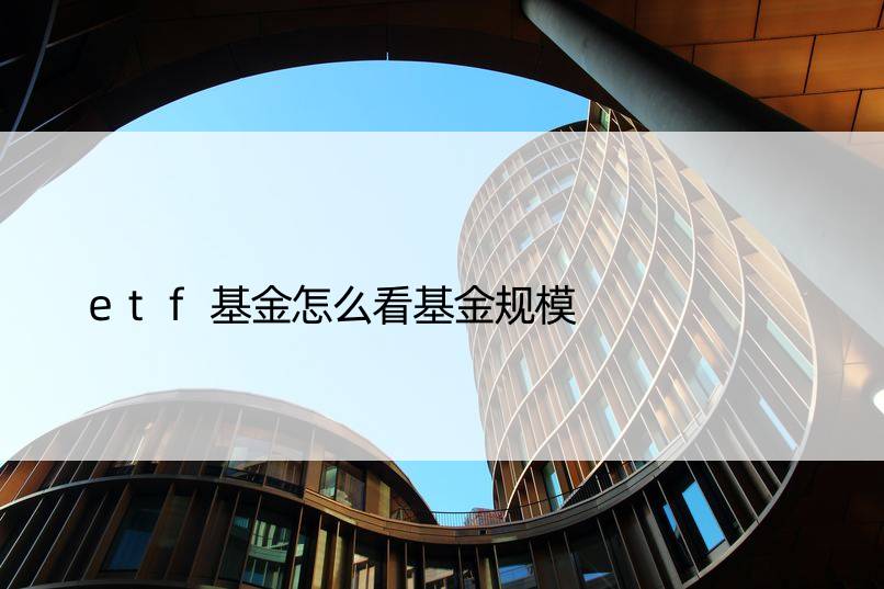 etf基金怎么看基金规模