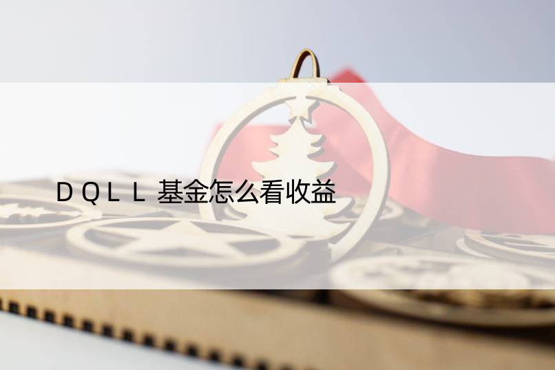 DQLL基金怎么看收益