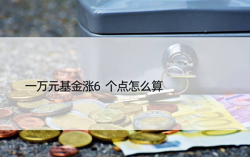 一万元基金涨6个点怎么算