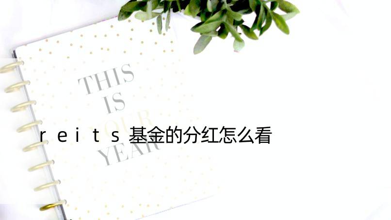 reits基金的分红怎么看