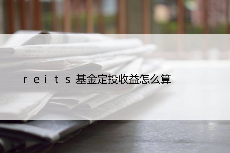 reits基金定投收益怎么算