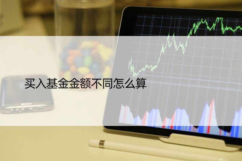 买入基金金额不同怎么算