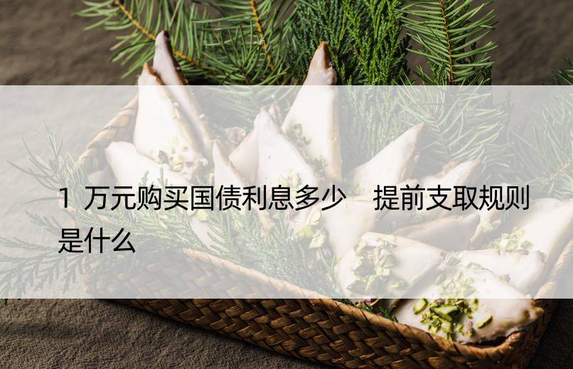 1万元购买国债利息多少 提前支取规则是什么