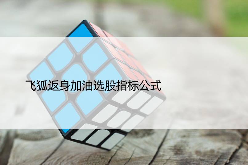 飞狐返身加油选股指标公式