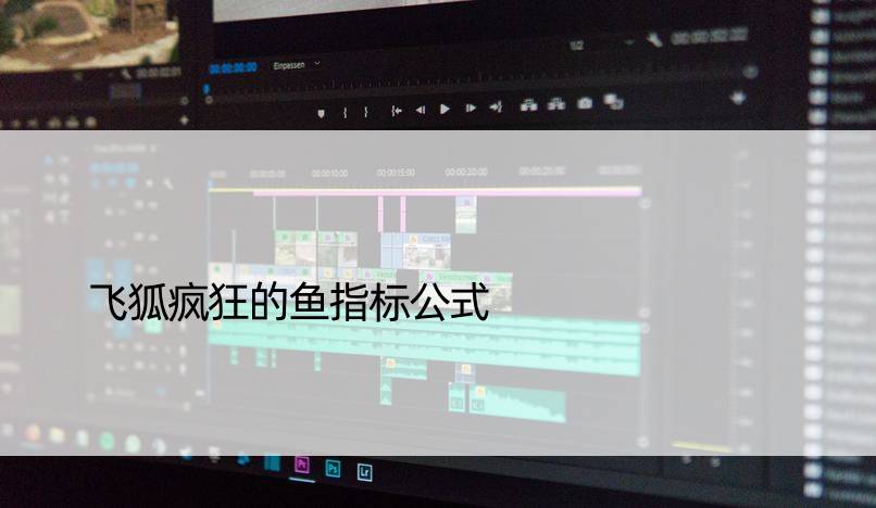 飞狐疯狂的鱼指标公式